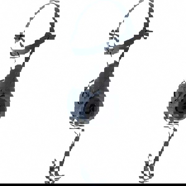 Full Face Respirator: Large